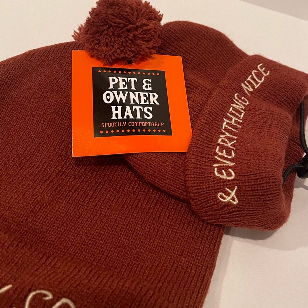 COPY - ✨✨Fall Season Beautiful Pet and Owner Hat✨✨ - Picture 2 of 6